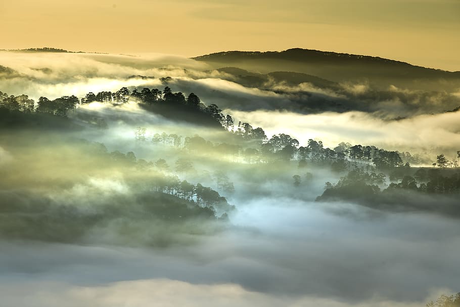 aerial photography of foggy mountain, da lat, vietnam, planting, HD wallpaper