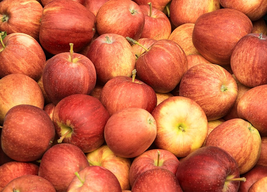 Apple lot, red, fruit, healthy, autumn, vitamins, frisch, ripe HD wallpaper