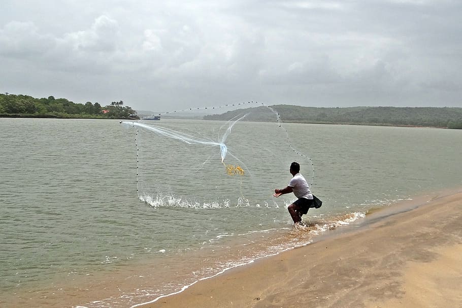 fishing, cast-net, terekhol river, estuary, mouth, arabian sea