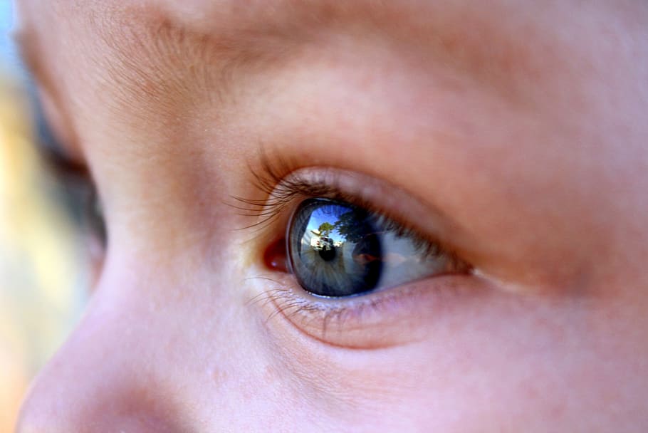 person's right eye in macro photography, kid, child, face, human body part HD wallpaper
