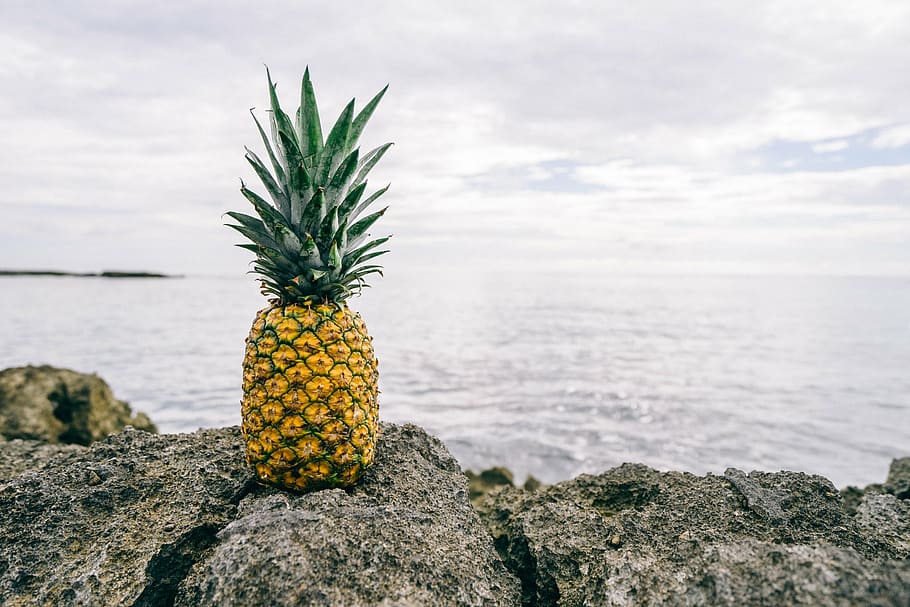 fruit, horizon, ocean, pineapple, rocks, sea, tropical fruit HD wallpaper
