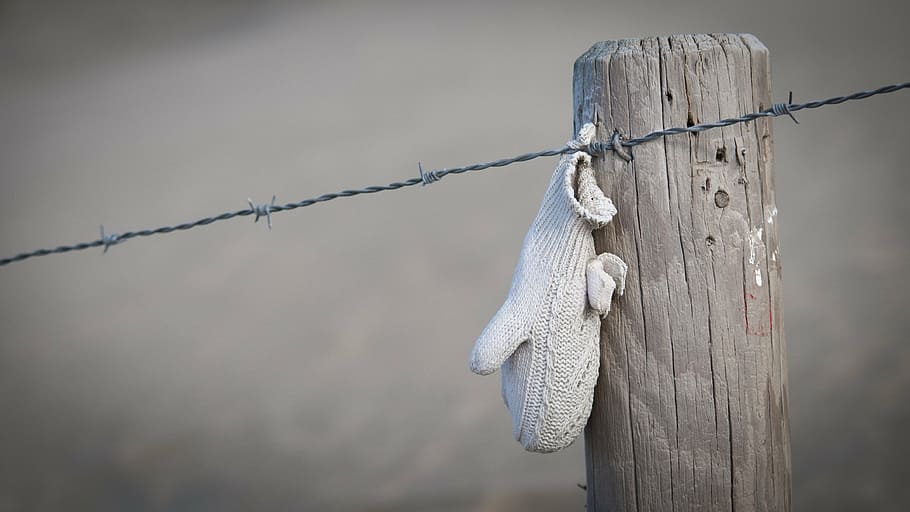 beach, winter, glove, because, coast, found, barbed wire, weather-beaten HD wallpaper