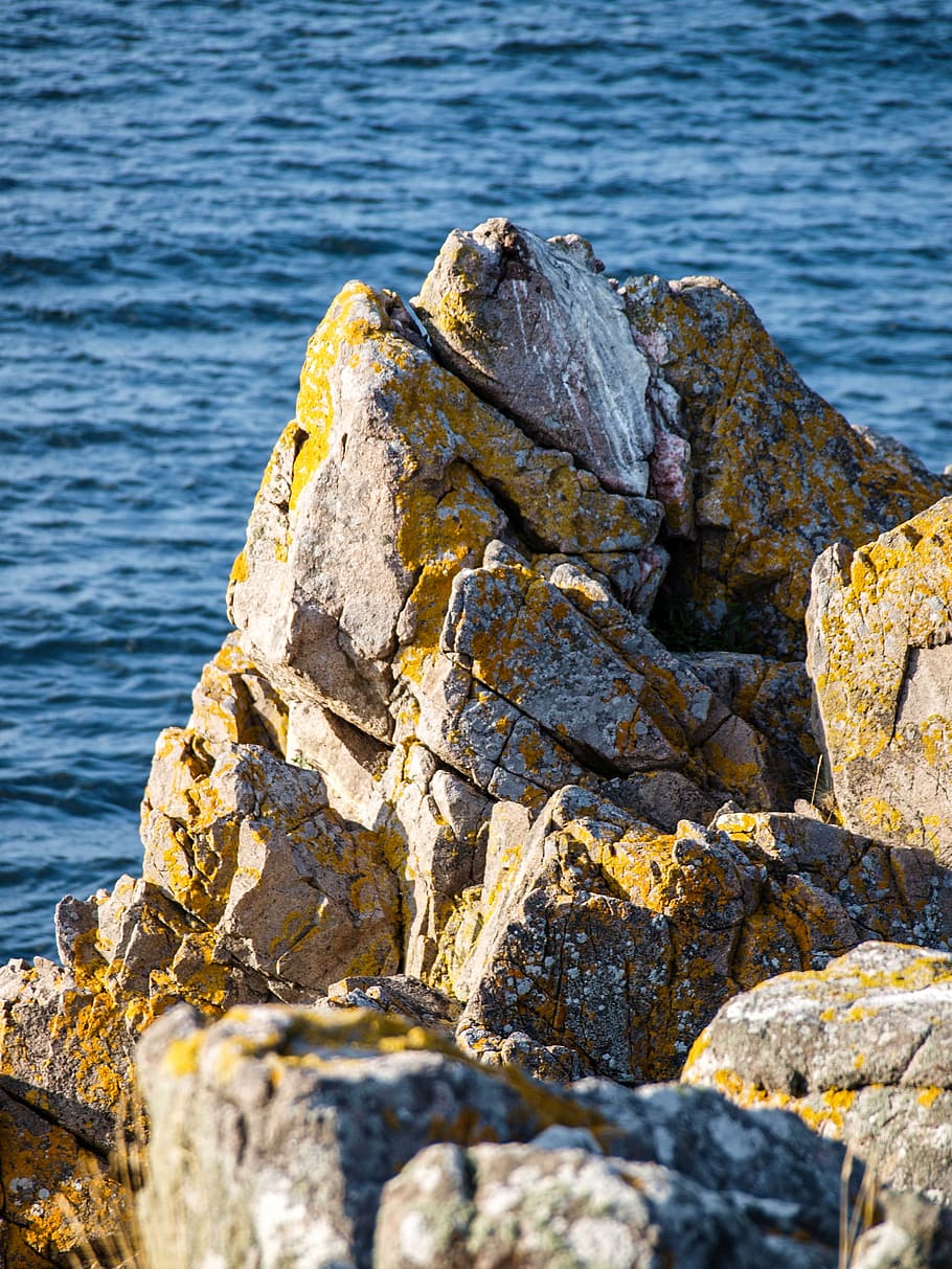 coast, rock, sea, water, rocky coast, baltic sea, blue, denmark HD wallpaper