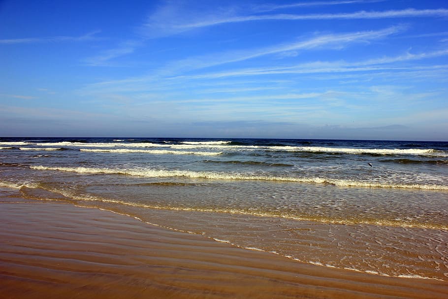 seashore under the blue sky, daytona beach, ocean, water, coast