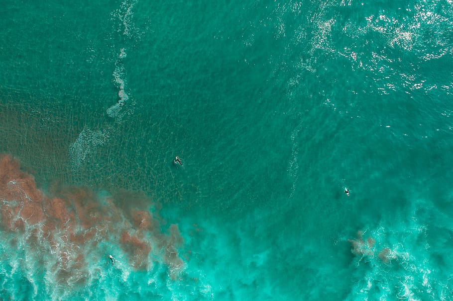 three people on body of water at daytime, aerial photography of sea HD wallpaper