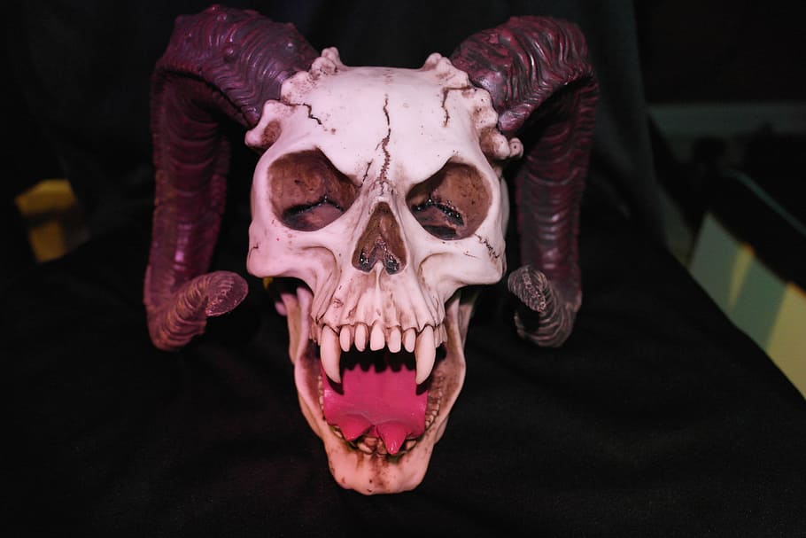 white and black skull with horns, horned skull, monster, evil