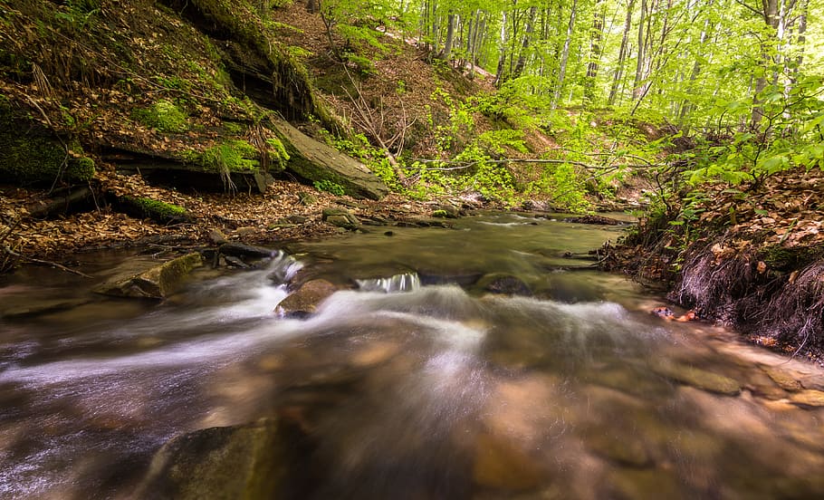 wood, landscape, nature, water, creek, environment, fall, flow HD wallpaper