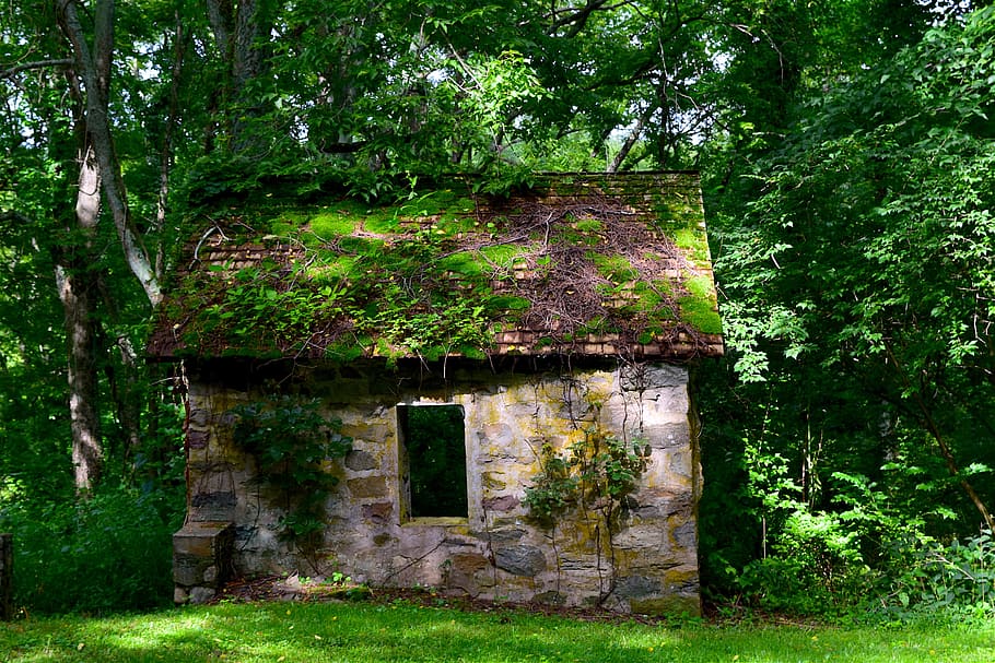 beige and green shed beside trees, old, cottage, stone, historic HD wallpaper