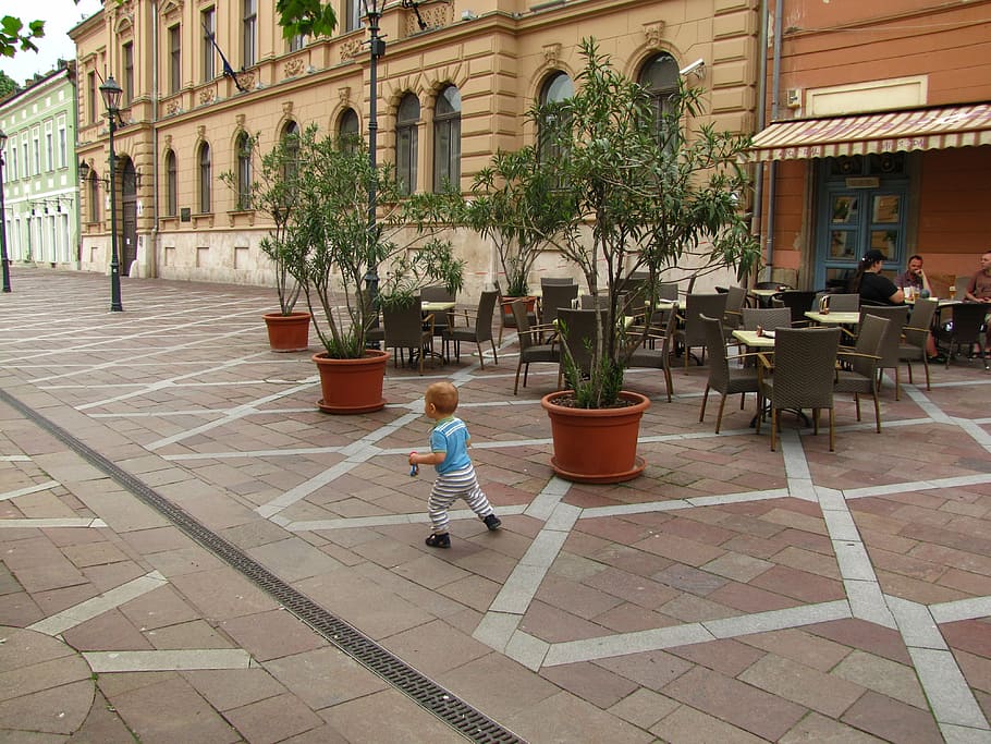 baby walking near green tree, kid, alone, game, running, street HD wallpaper