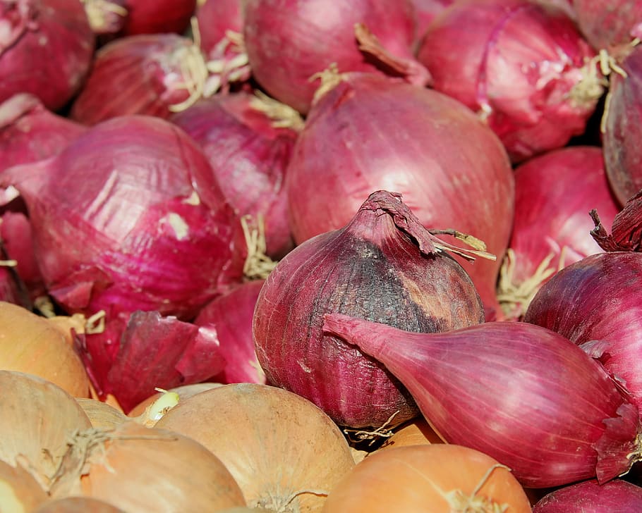 red onions, red shallots, noble onion, sharp, vegetables, vitamins, HD wallpaper