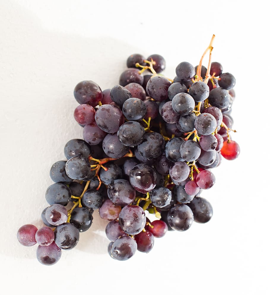 purple grapes, winegrowing, vine, food, white background, food and drink HD wallpaper