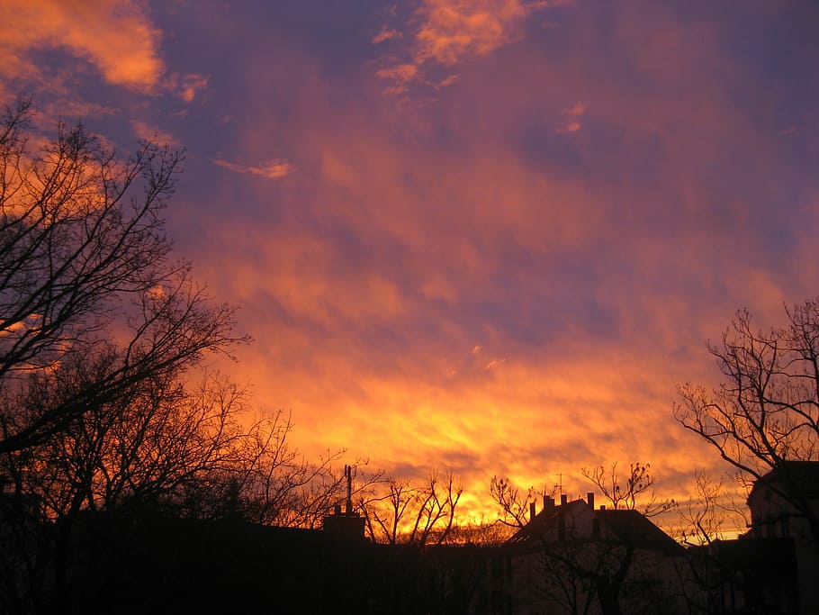 sunset, afterglow, sky, romance, cloud - sky, tree, bare tree HD wallpaper