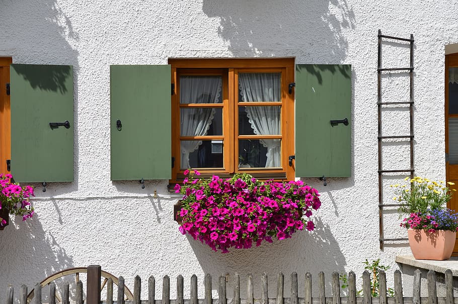 purple petaled flowers hanged under brown wooden framed glass door windows at daytime, HD wallpaper