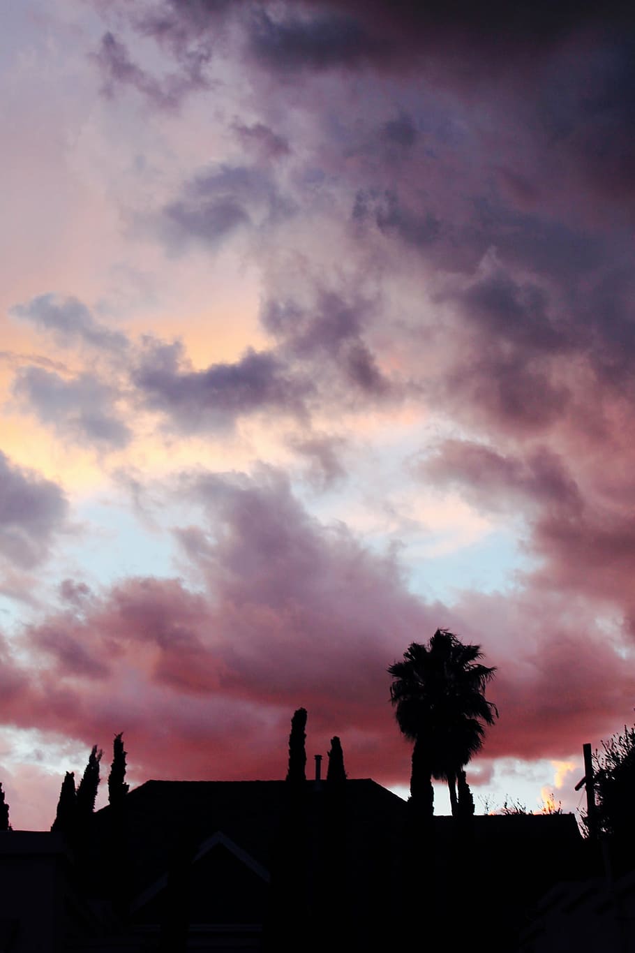 silhouette of trees under cloudy sky at daytime, red, white HD wallpaper