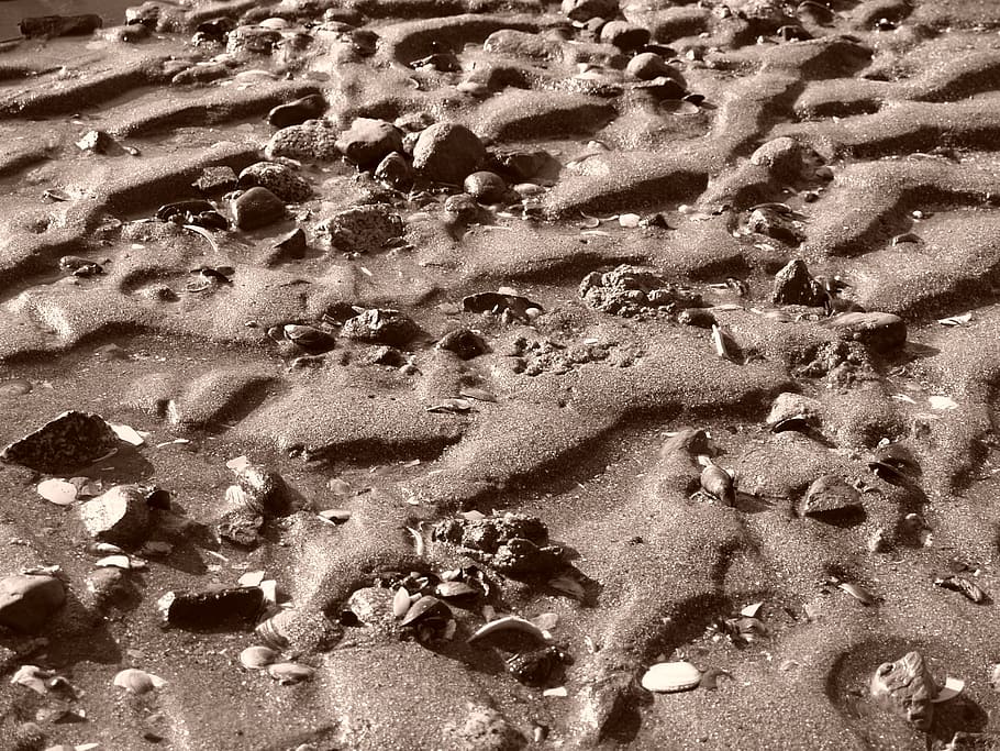sand, ocean, beach, beach sand, nature, sea, land, high angle view HD wallpaper