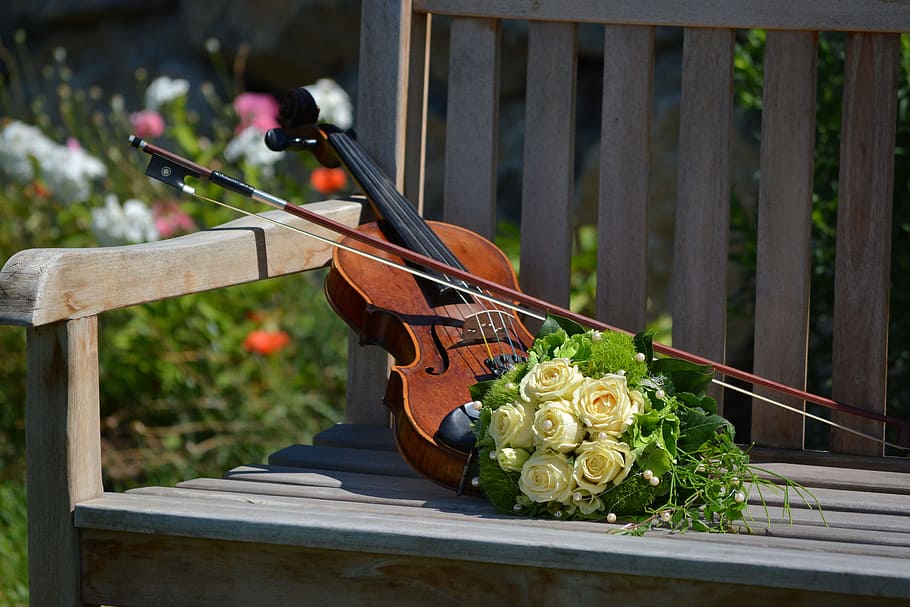 brown violin and yellow rose bouquet, bridal bouquet, wood - material HD wallpaper