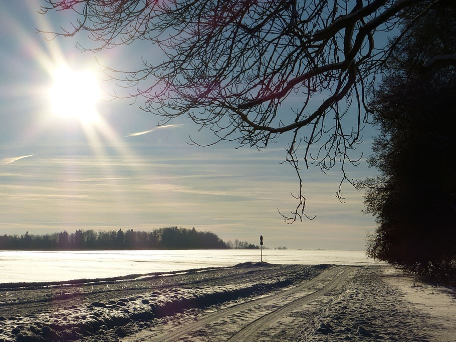 Winter, Snow, Landscape, Snowy, Tree, trees, wintry, sun, abendstimmung HD wallpaper