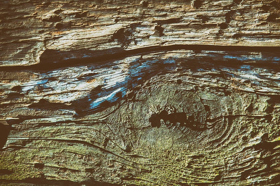 Close up texture shot of old wood details, image captured in Cornwall, England with a Canon 5D DSLR, HD wallpaper