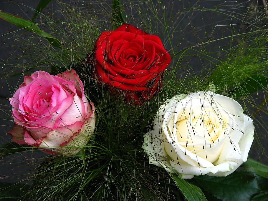 roses, bouquet, red, white, pink, lush, flowers, romance, romantic HD wallpaper