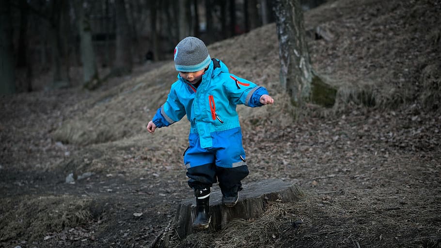 photo of boy walking on forest, son, toddler, child, young, kid