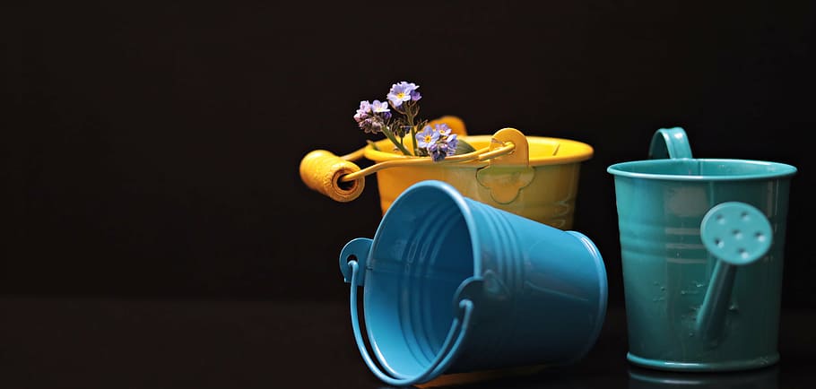 two assorted-color buckets, forget me not, flower, yellow, blue, HD wallpaper