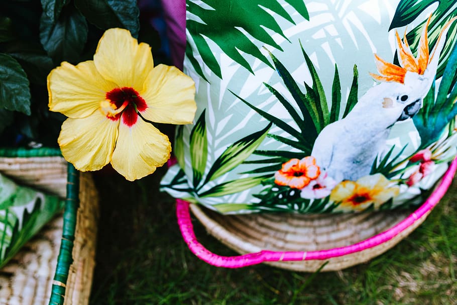 Exotic Garden Party Decorations, day, summer, flora, fun, outdoor HD wallpaper