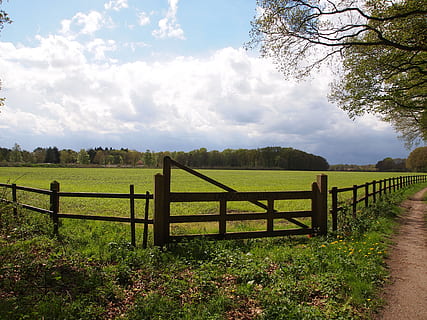 green field surrounded by brown wooden fence under white clouds and blue sky HD wallpaper