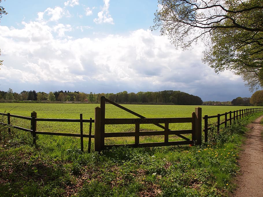 green field surrounded by brown wooden fence under white clouds and blue sky HD wallpaper