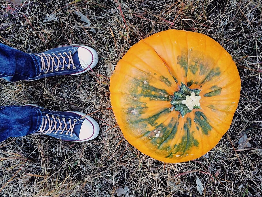 pumpkin, fall autumn, october, halloween, converse, young, low section HD wallpaper