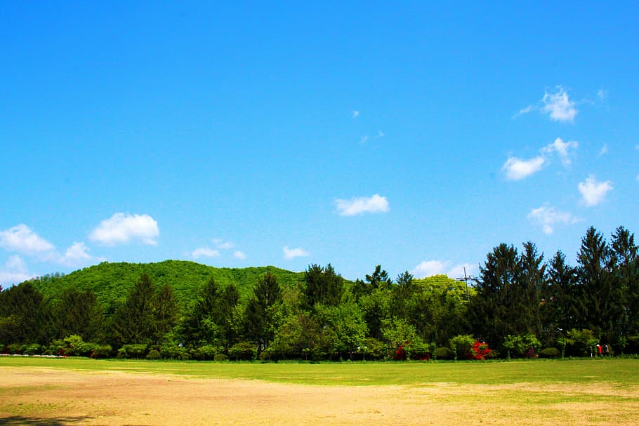 landscape, nature, scenery, arboretum, field, garden, forest HD wallpaper