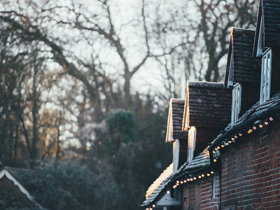 Understated Christmas lights on roof, brown concrete house surrounded by trees HD wallpaper