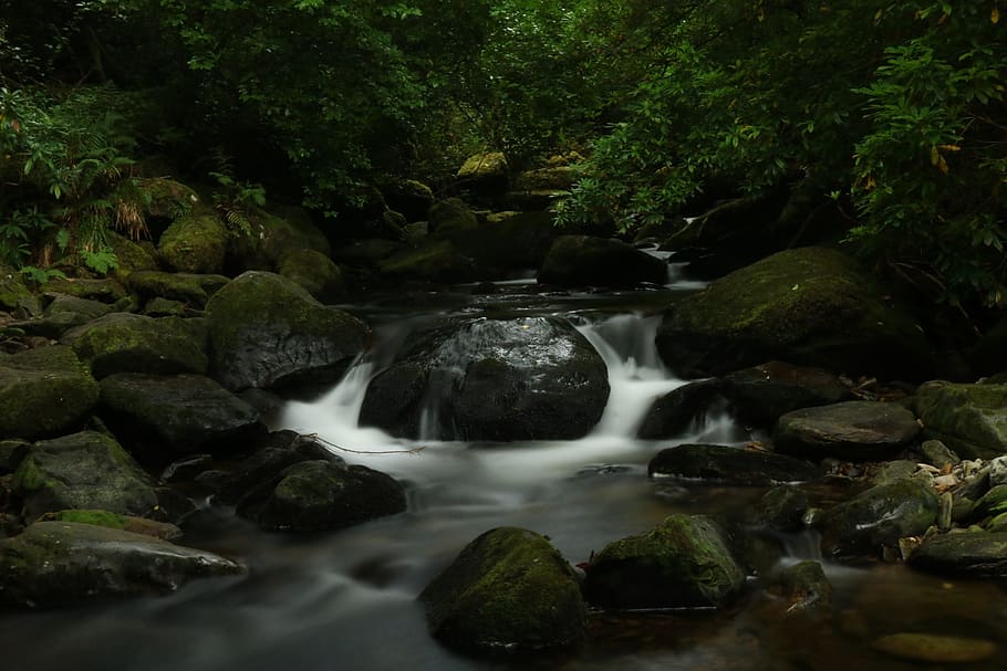 water running, relaxation, bach, river, landscape, forest, nature HD wallpaper
