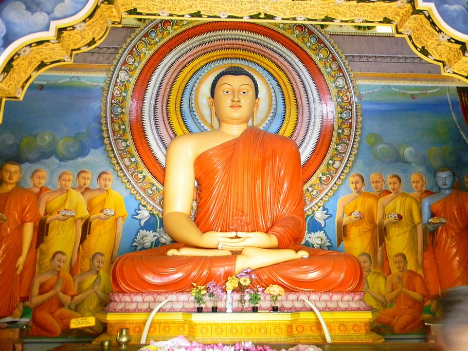 buddha, sri lanka, temple, buddhism, religion, architecture, HD wallpaper
