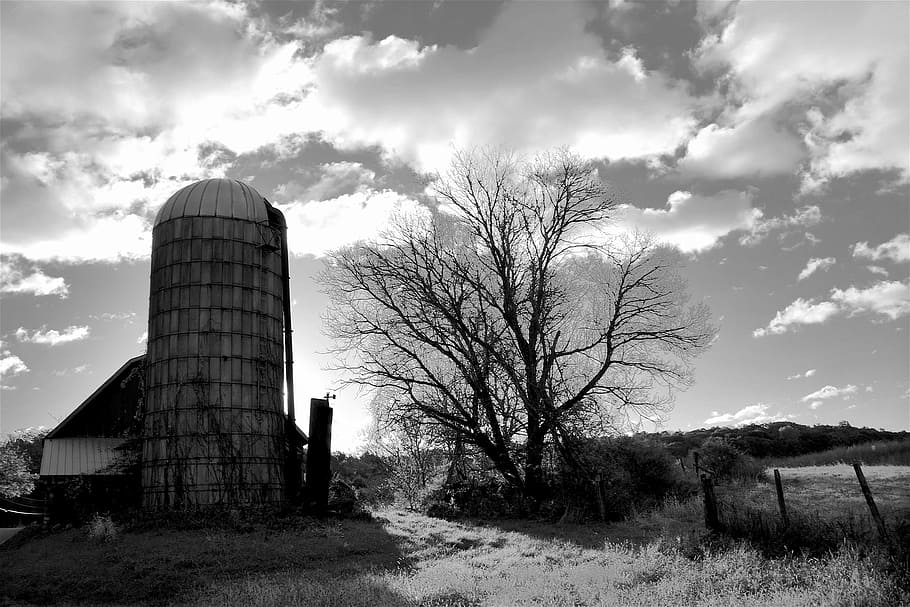 barn, silo, farm, rural, farming, tree, agriculture, nature HD wallpaper