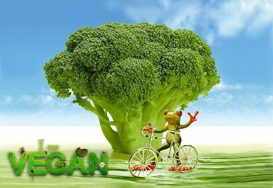 green frog with bike digital wallpaper, vegan, appetite, broccoli, HD wallpaper