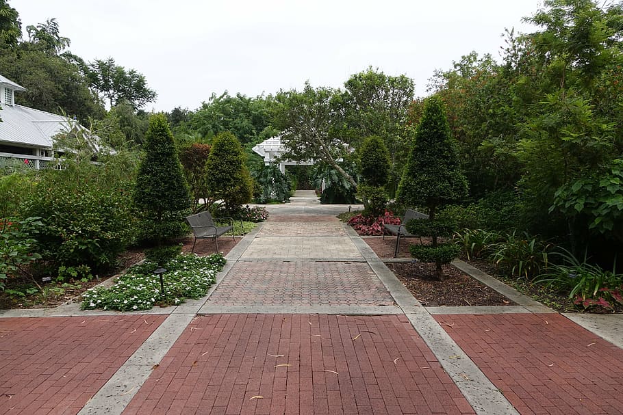 pathway, scenery, landscape, scenic, environment, plant, tree HD wallpaper