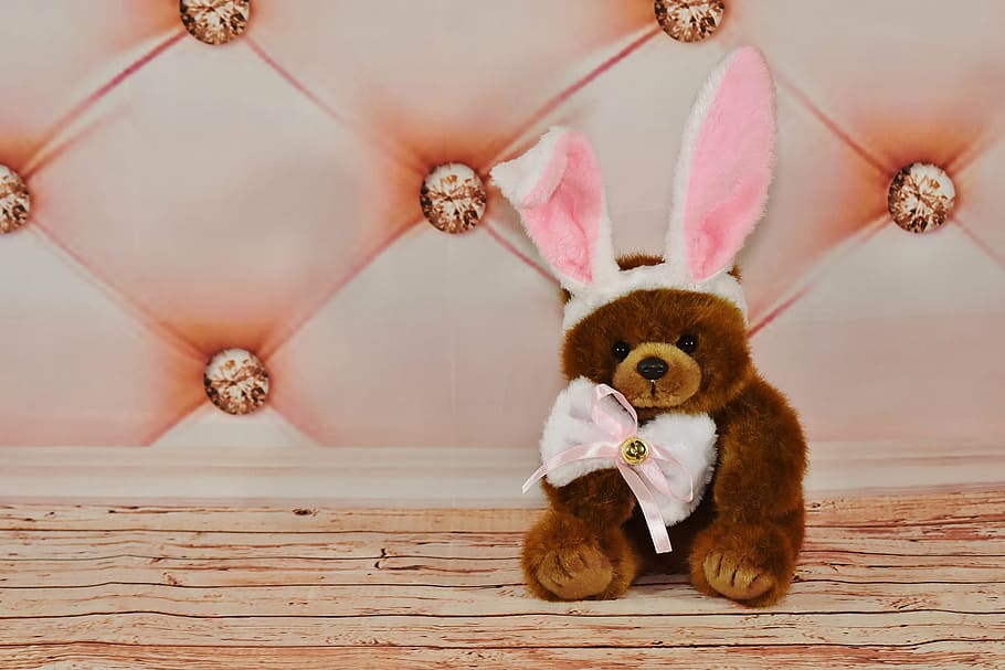 brown bear plush toy, easter, easter bunny, teddy, soft toy HD wallpaper