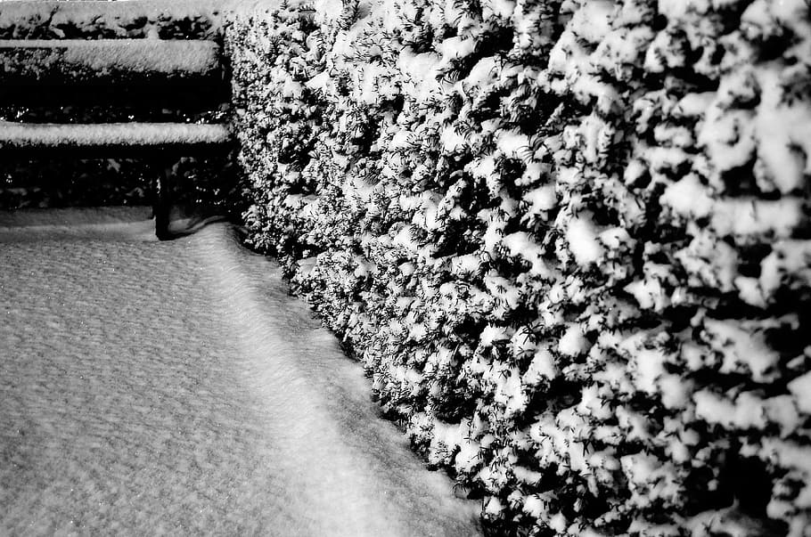 bush, snow, bench, background, seasons, black, white, winter HD wallpaper