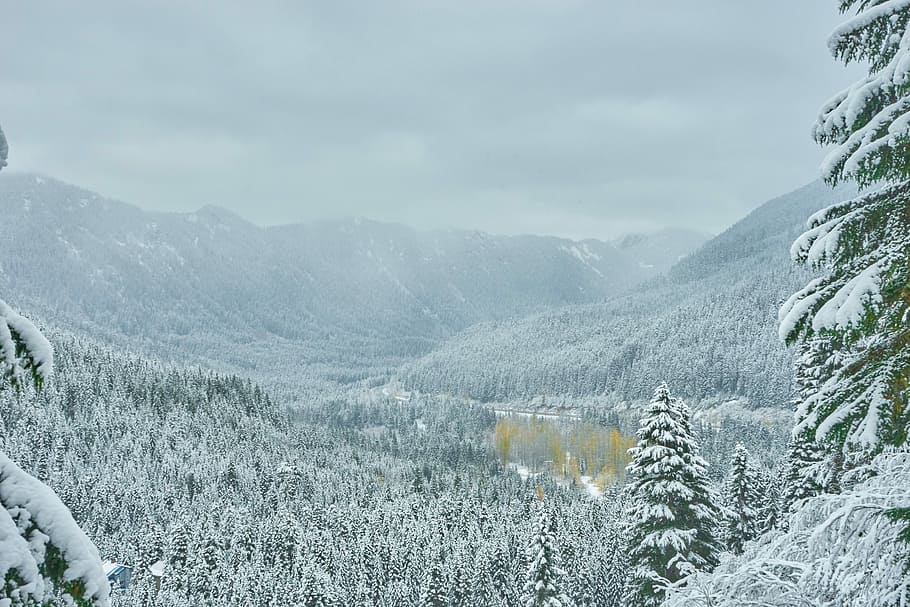 snow covered forest photography, snow mountain during winter HD wallpaper