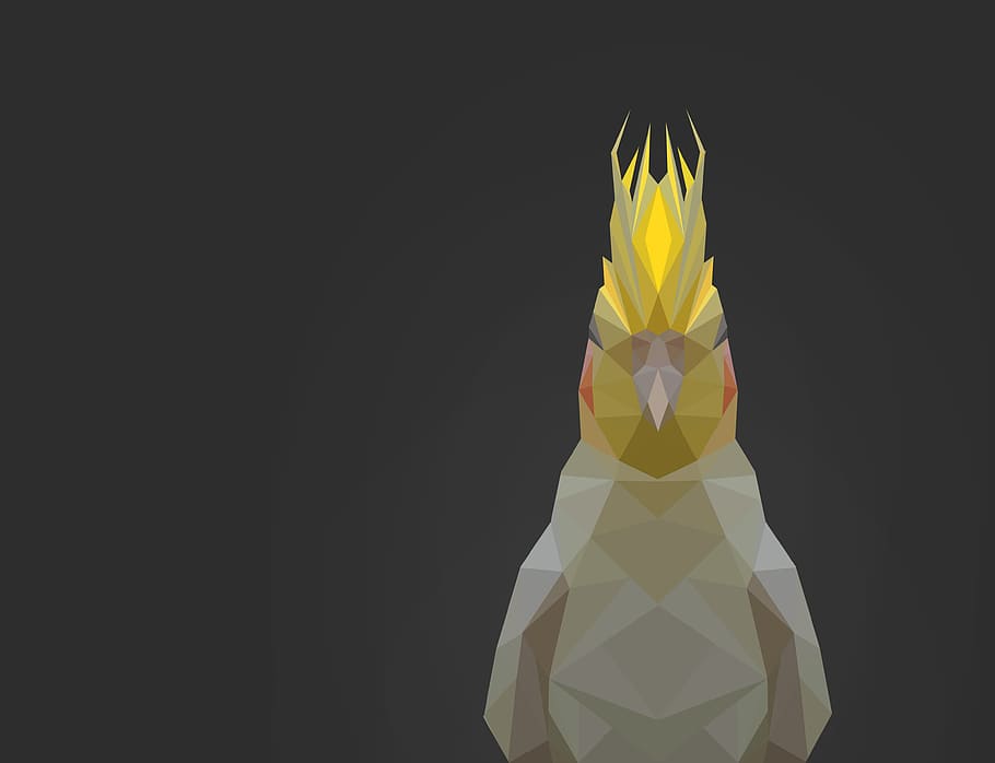 parrot, low poly, bird, polygon, geometric, animal, studio shot HD wallpaper