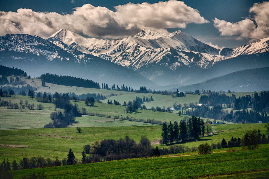 green, grass, trees, plant, nature, landscape, clouds, sky HD wallpaper