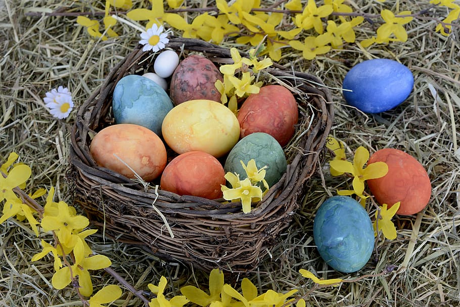 ester egg in basket, easter nest, easter eggs, colorful, decoration