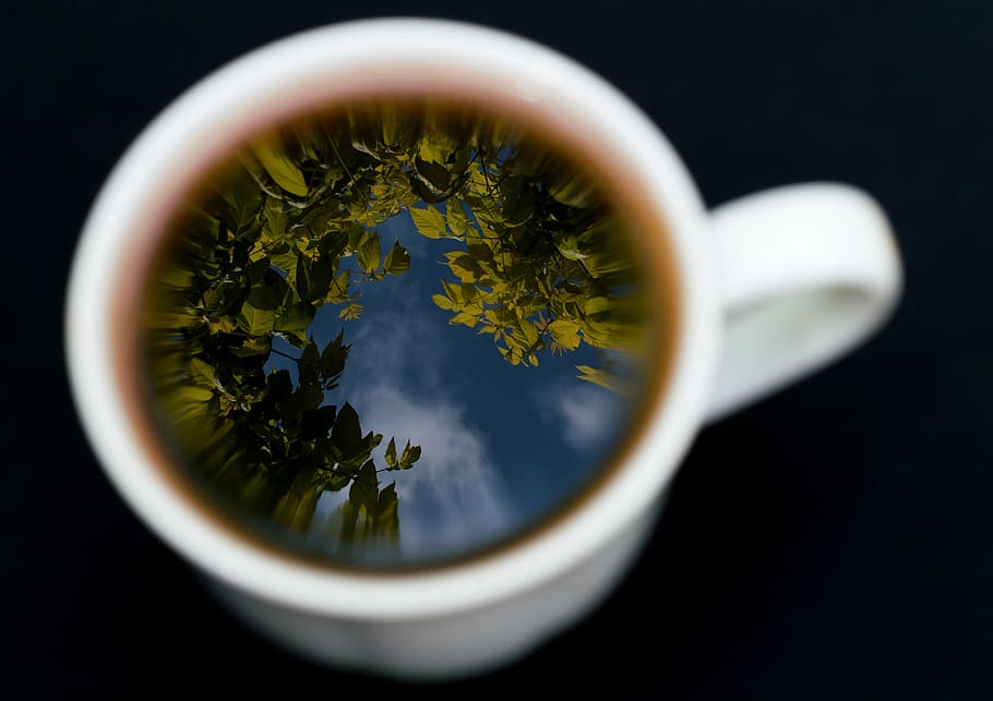 white ceramic cup, mug, teacup, reflection, sky, forest, macro HD wallpaper