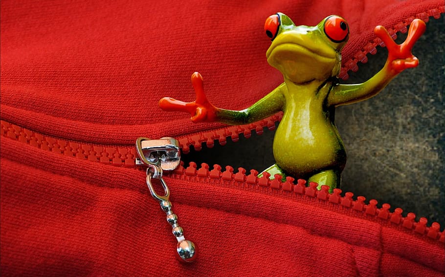 zip, open, frog, funny, cute, gesture, sweet, red, food and drink HD wallpaper