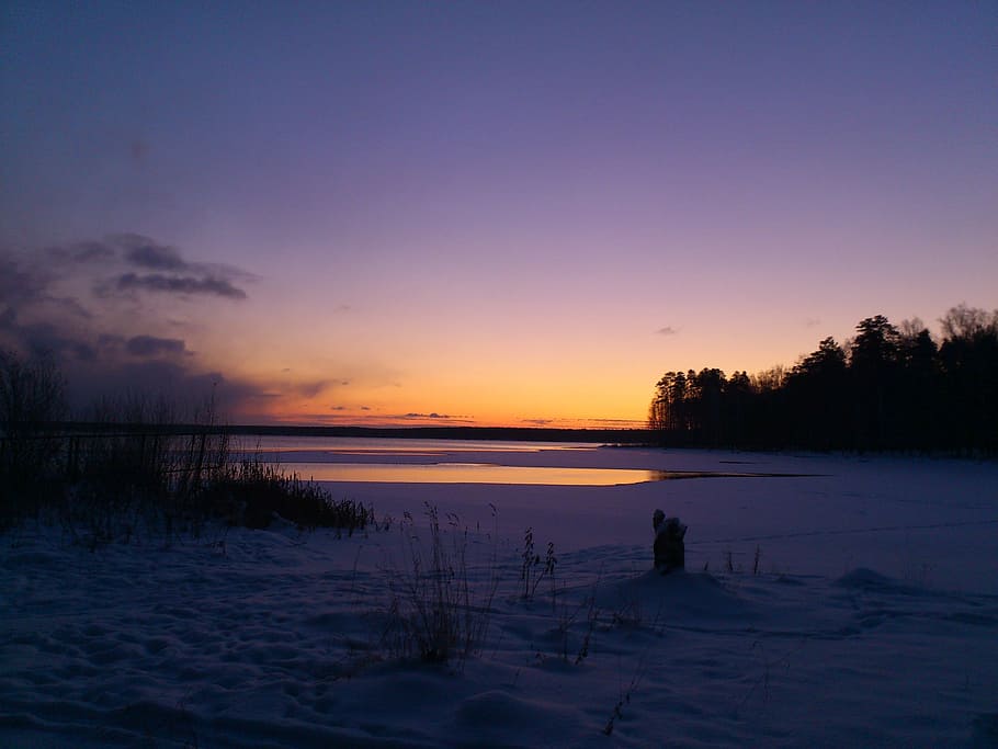 Winter, Dawn, Morning, Cold, Snow, landscape, silence, nature HD wallpaper