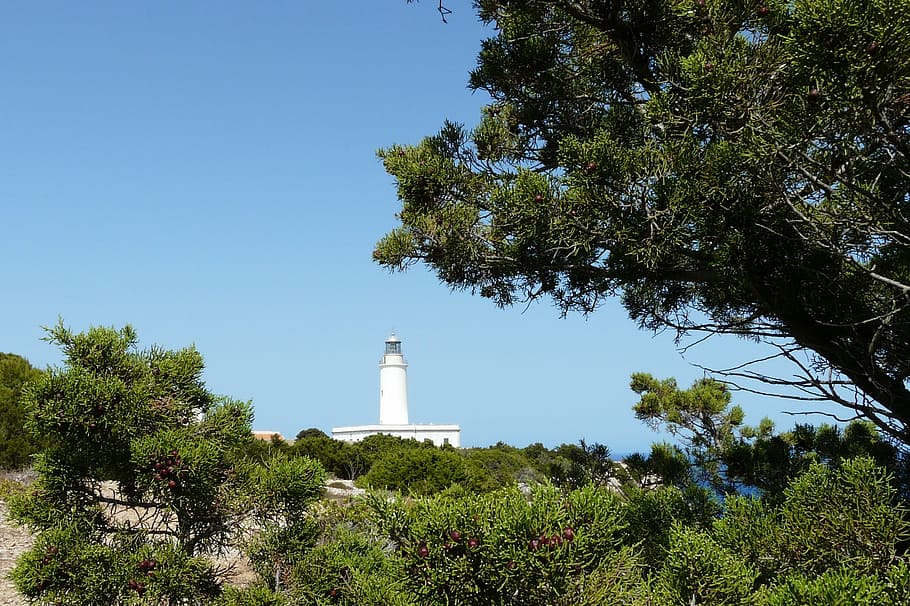 lighthouse, sky, holiday, mood, tree, plant, built structure HD wallpaper