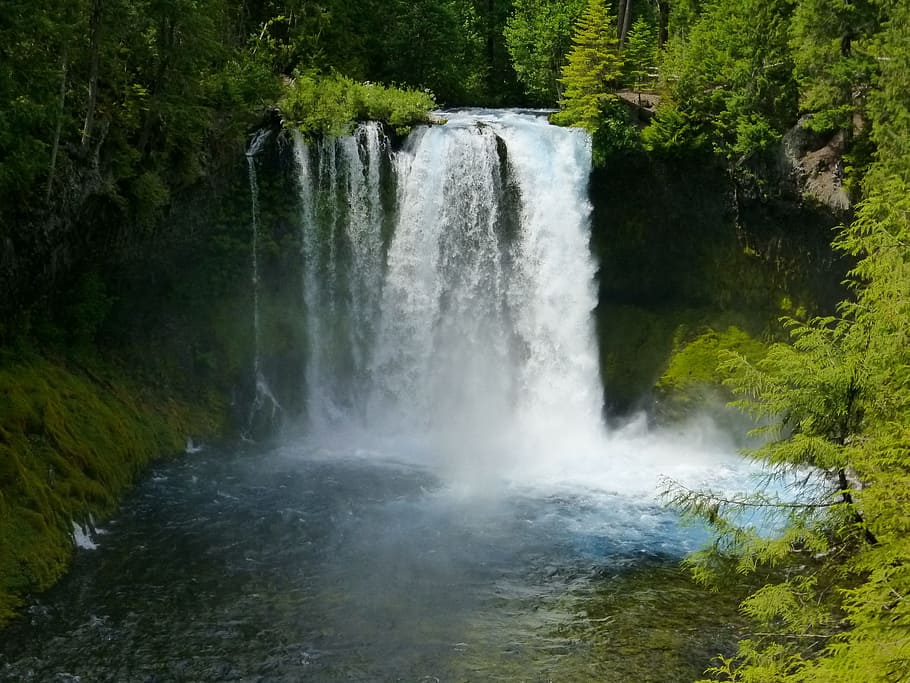 high angle view of waterfall, koosah falls, cascade, forest, mckenzie, HD wallpaper