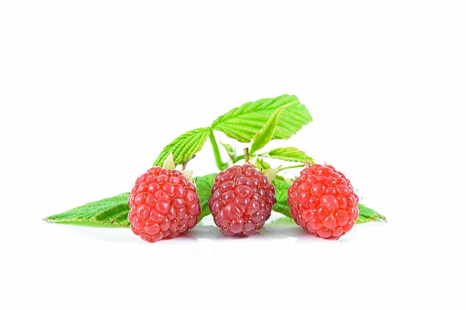 three red raspberry fruits, ripe raspberries, lean, delicious recipes HD wallpaper