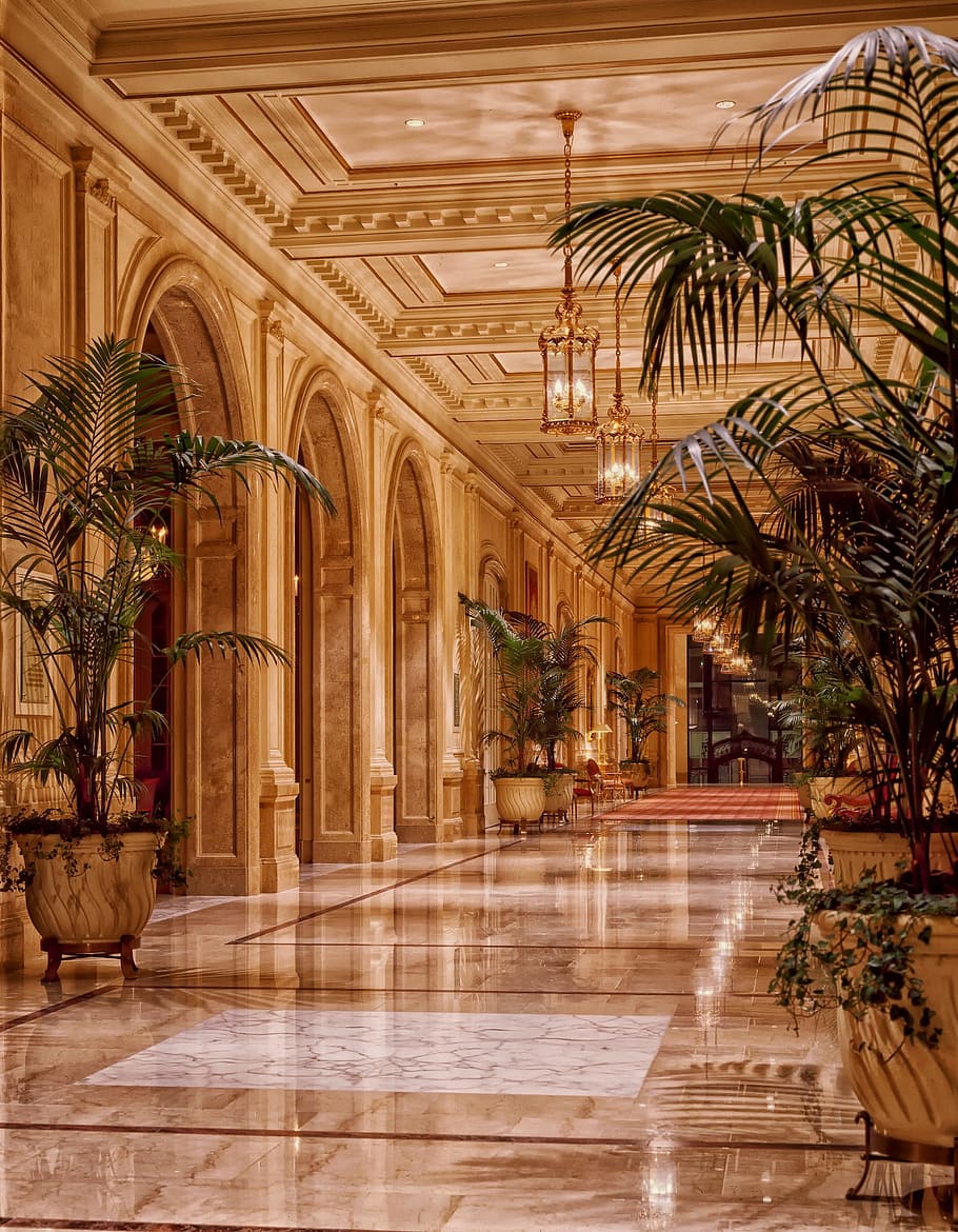 lights, architecture, plants, lighting, hall, hallway, interior design HD wallpaper