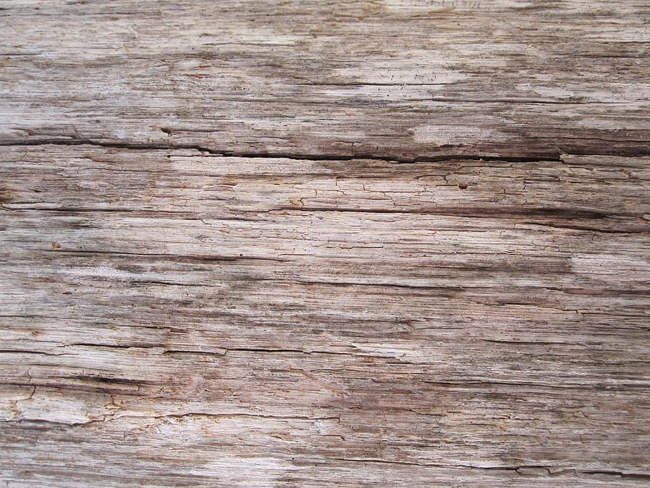 untitled, wooden, surface, texture, old, dry, weathered, natural HD wallpaper